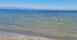 Черное море